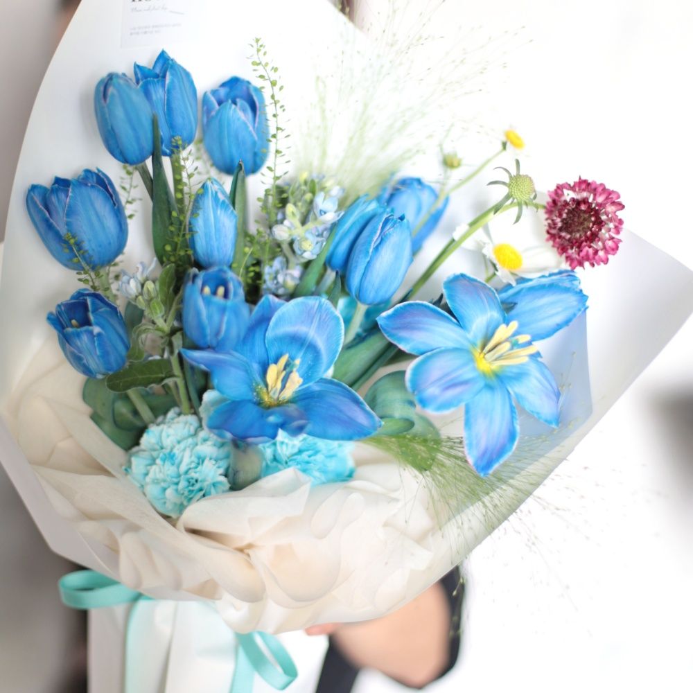  サファイアブリーズ 