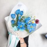  사파이어 브리즈 