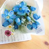  サファイアブリーズ 