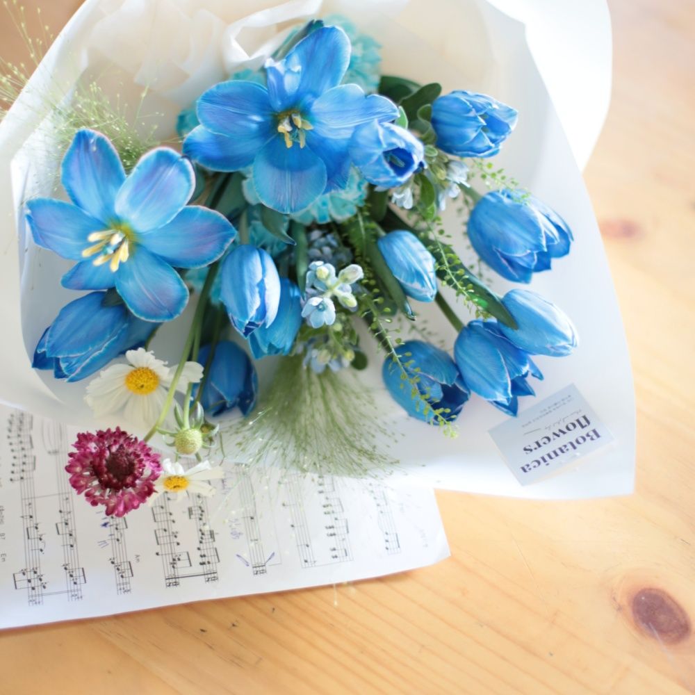  サファイアブリーズ 