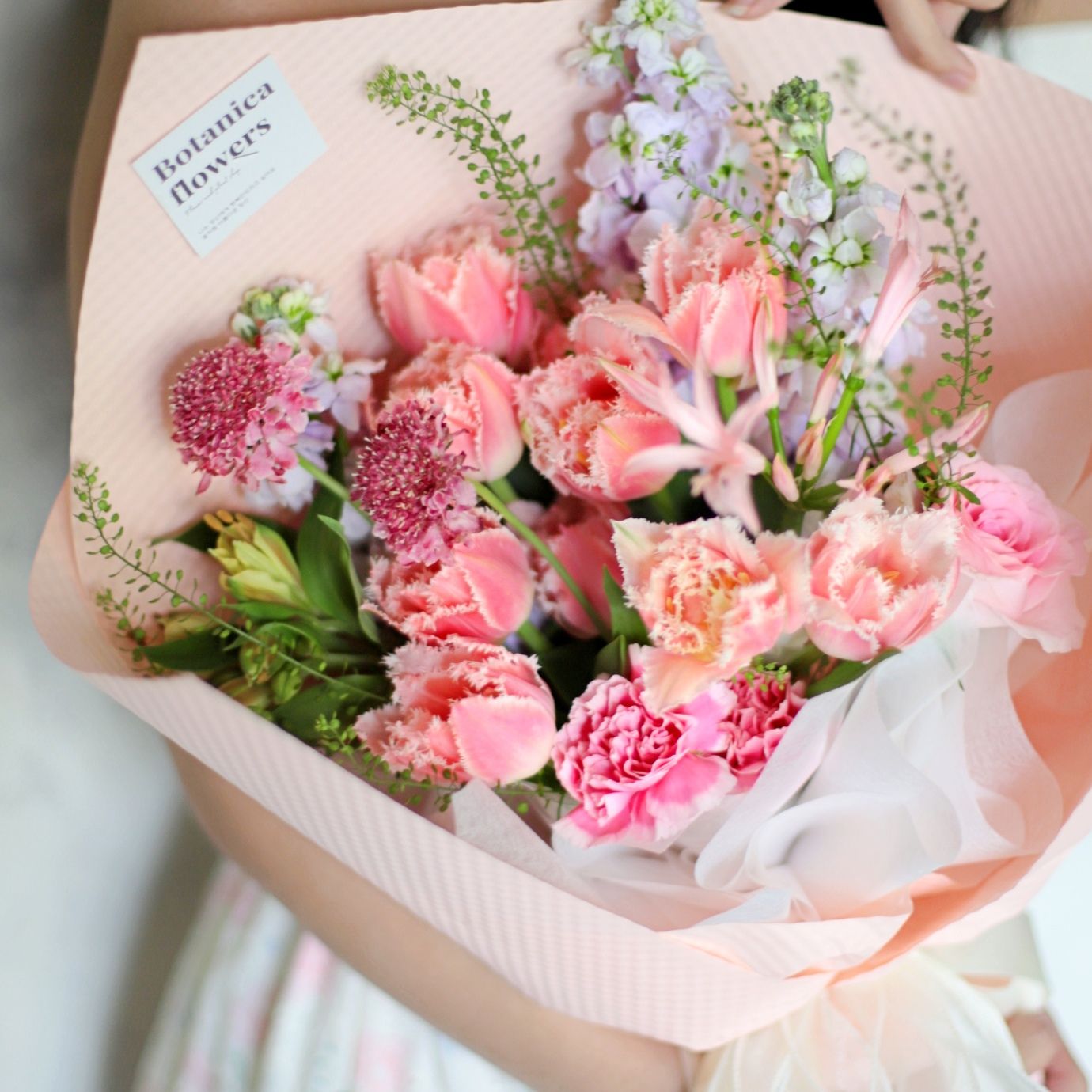  Lời Thì Thầm Của Hoa Tulip 