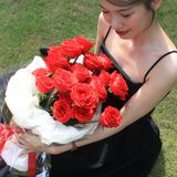  赤いバラの誠実さ 