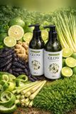  Dầu gội dược liệu GLOW 400ml được chiết xuất từ bồ kết, hương nhu tía, mần trầu, chanh, sả, gừng, vỏ bưởi 
