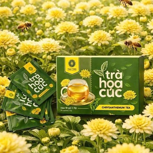  Trà hoa cúc 