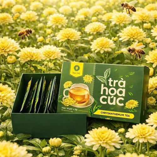  Trà hoa cúc 