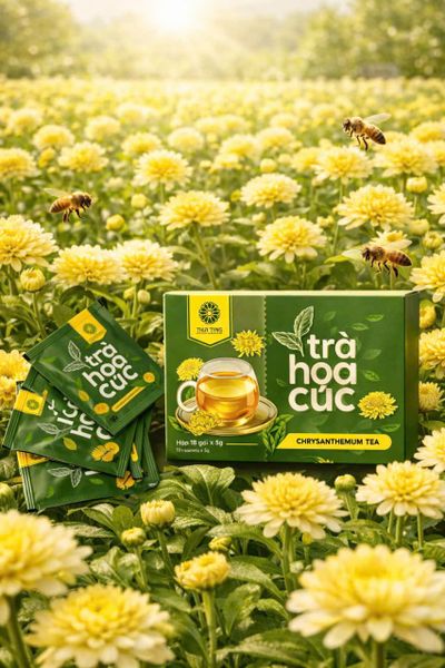  Trà hoa cúc 