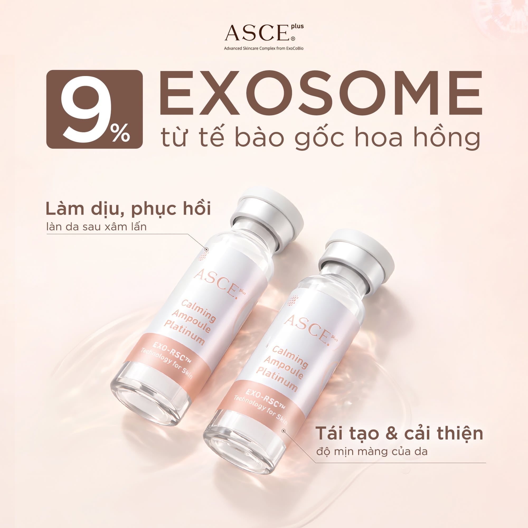ASCE plus Calming Ampoule Platinum Tinh Chất Làm Dịu Phục Hồi Da Exosome Hộp 5 ống x 3.5ml