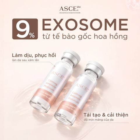 ASCE plus Calming Ampoule Platinum Tinh Chất Làm Dịu Phục Hồi Da Exosome Hộp 5 ống x 3.5ml