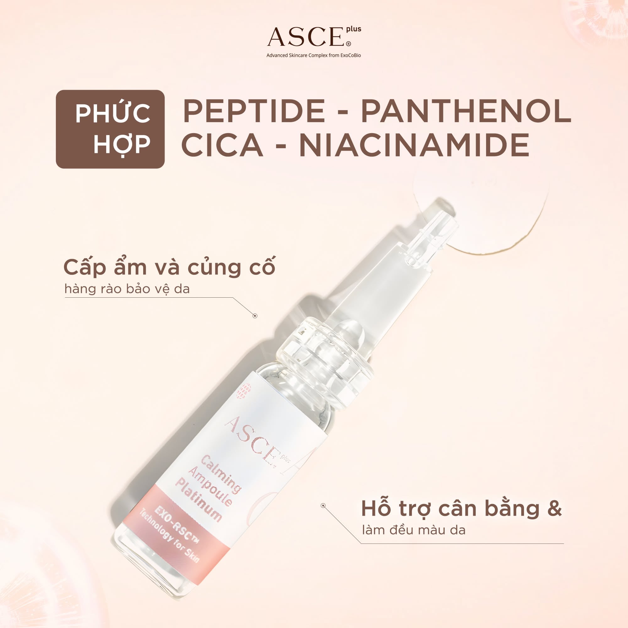 ASCE plus Calming Ampoule Platinum Tinh Chất Làm Dịu Phục Hồi Da Exosome Hộp 5 ống x 3.5ml