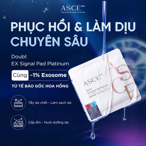 ASCE plus Doubl: EX Signal Pad Platinum Miếng Pad Làm Dịu, Mịn Bề Mặt Da, Phục Hồi Da Exosome 2 miếng 5g/gói x 30 gói/hộp