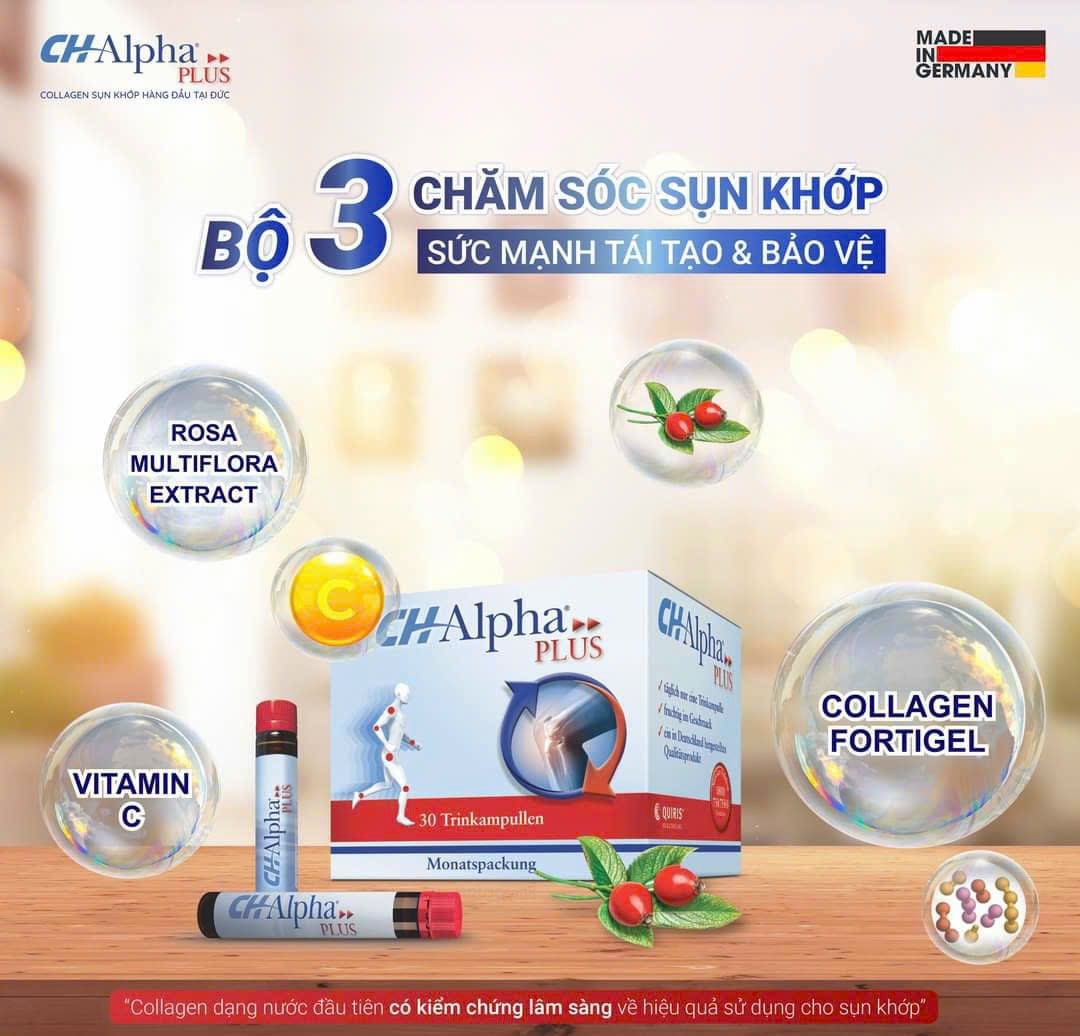 Collagen CH Alpha PLUS Chuyên Biệt Cho Sụn Khớp 1 hộp x 30 ống 25ml