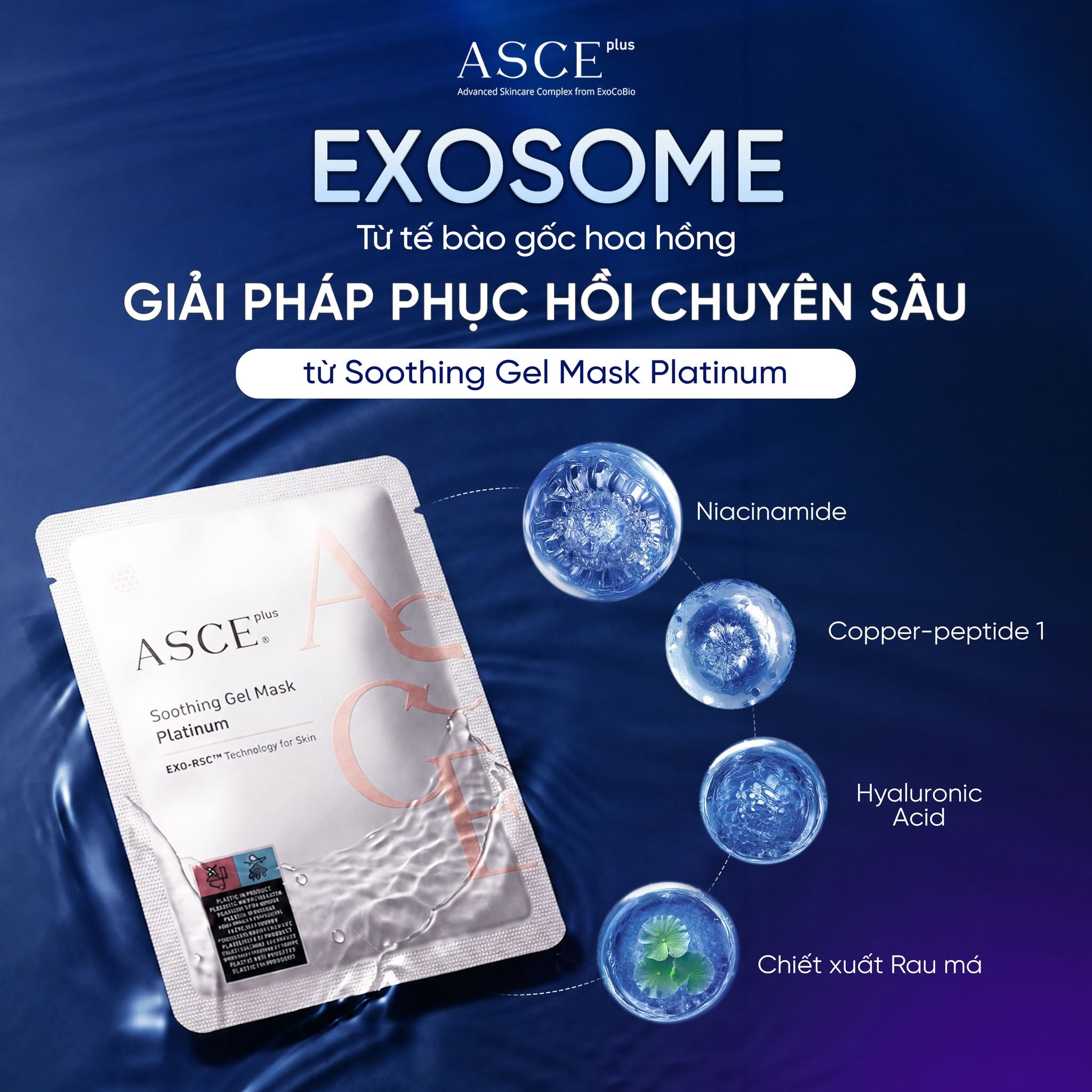 ASCE plus Soothing Gel Mask Platinum - Mặt Nạ Làm Dịu Phục Hồi Da Tổn Thương, Kích Ứng Hoặc Sau Xâm Lấn 38ml x 3 miếng/hộp
