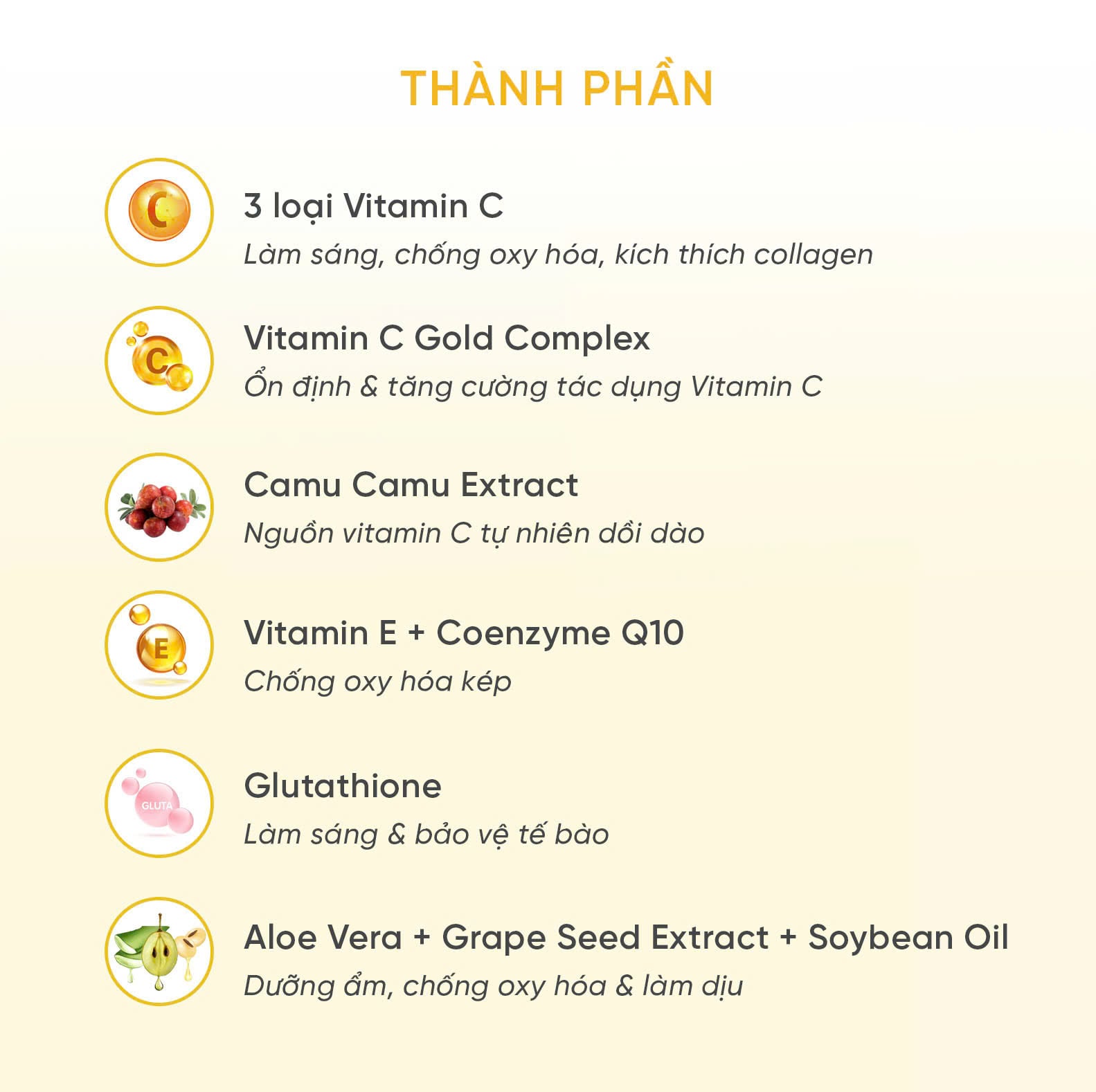 M. Asam 10% Vitamin C Serum Intense Tinh Chất Dưỡng Sáng Đều Màu Da 30ml