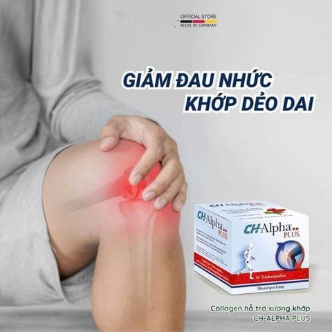 Collagen CH Alpha PLUS Chuyên Biệt Cho Sụn Khớp 1 hộp x 30 ống 25ml