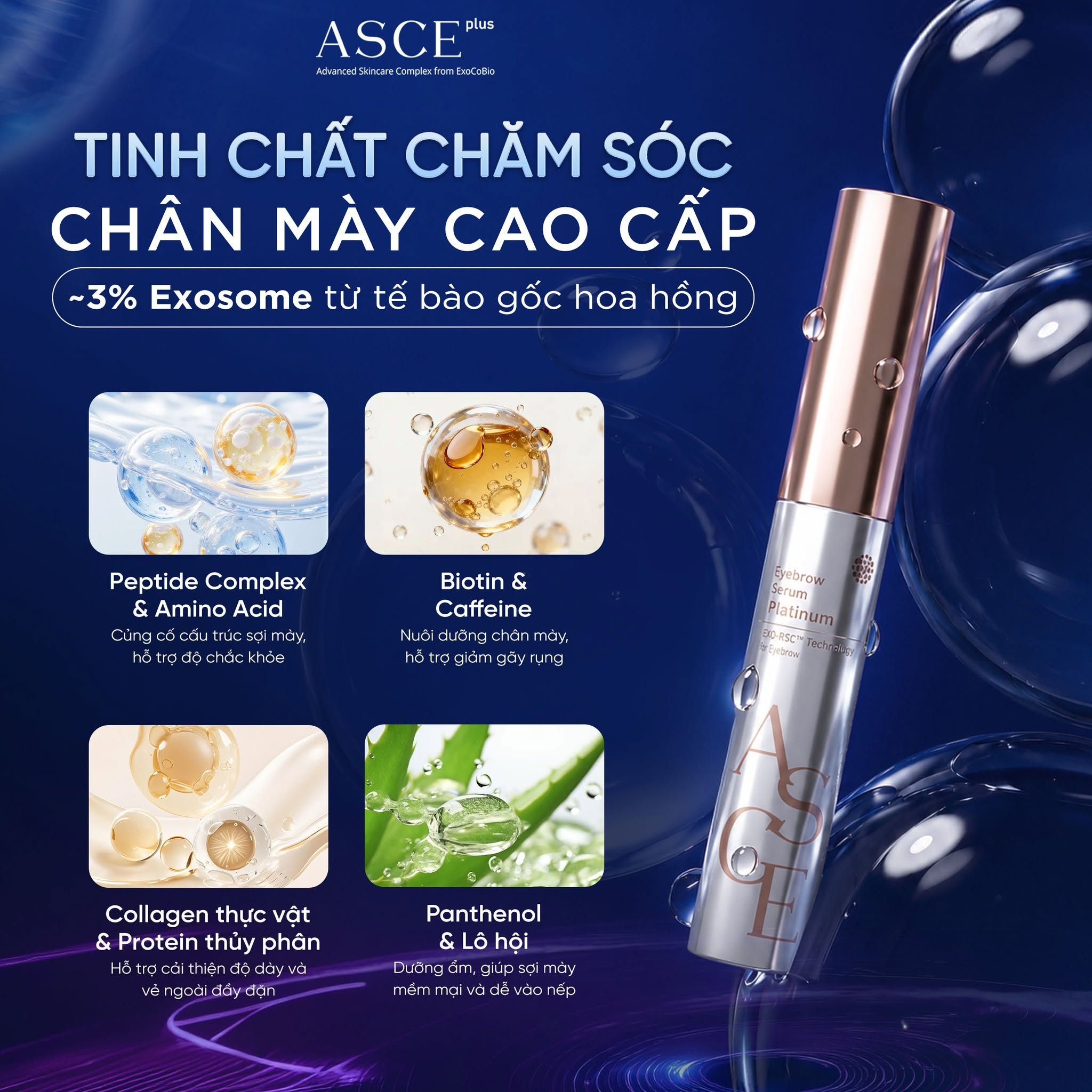 ASCE Plus Eyelash & Eyebrow Serum Platinum - Tinh Chất Dưỡng Mi & Mày Với Exosome 8.5g