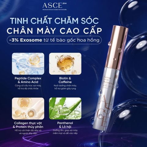 ASCE Plus Eyelash & Eyebrow Serum Platinum - Tinh Chất Dưỡng Mi & Mày Với Exosome 8.5g
