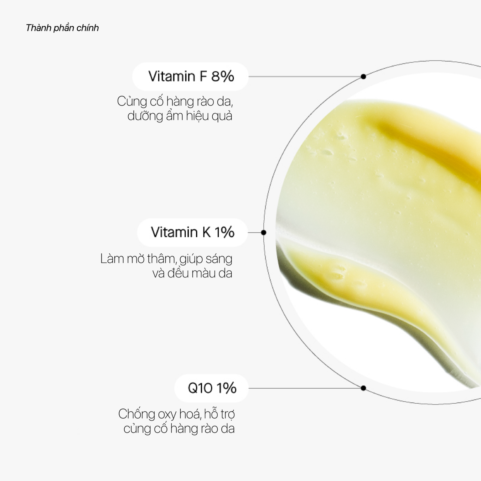 Theramid Lino-8 - Tinh Chất Chống Oxy Hóa, Làm Dịu & Cân Bằng Làn Da Nhạy Cảm 30ml