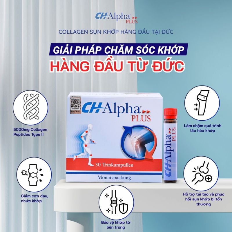 Collagen CH Alpha PLUS Chuyên Biệt Cho Sụn Khớp 1 hộp x 30 ống 25ml