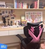  Ghế Công Thái Học Gaming Sihoo Xiaoqi X5 bản thường và bản Pro 