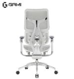  Ghế công thái học Ergonomic Gami S300 