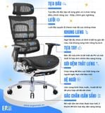  Ghế Công Thái Học BChair B-801L phiên bản lưới (sẵn gác chân) 