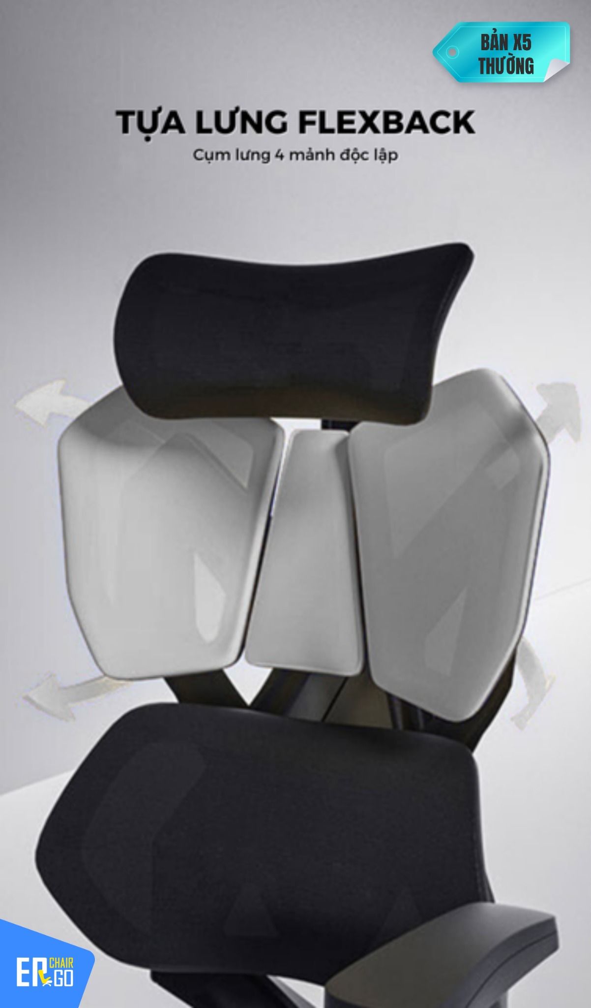  Ghế Công Thái Học Gami X5 bản thường và bản Pro 