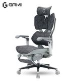  Ghế Công Thái Học Gami X5 bản thường và bản Pro 