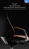  Ghế Công Thái Học Giám đốc BChair BP-101J bọc da bò Nappa cao cấp 