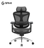  Ghế Công Thái Học Gami Doro C300 (Gami A3) Ergonomic Chair 