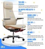  Ghế Công Thái Học Giám Đốc B-Chair BC-007F bọc da bò Nappa 