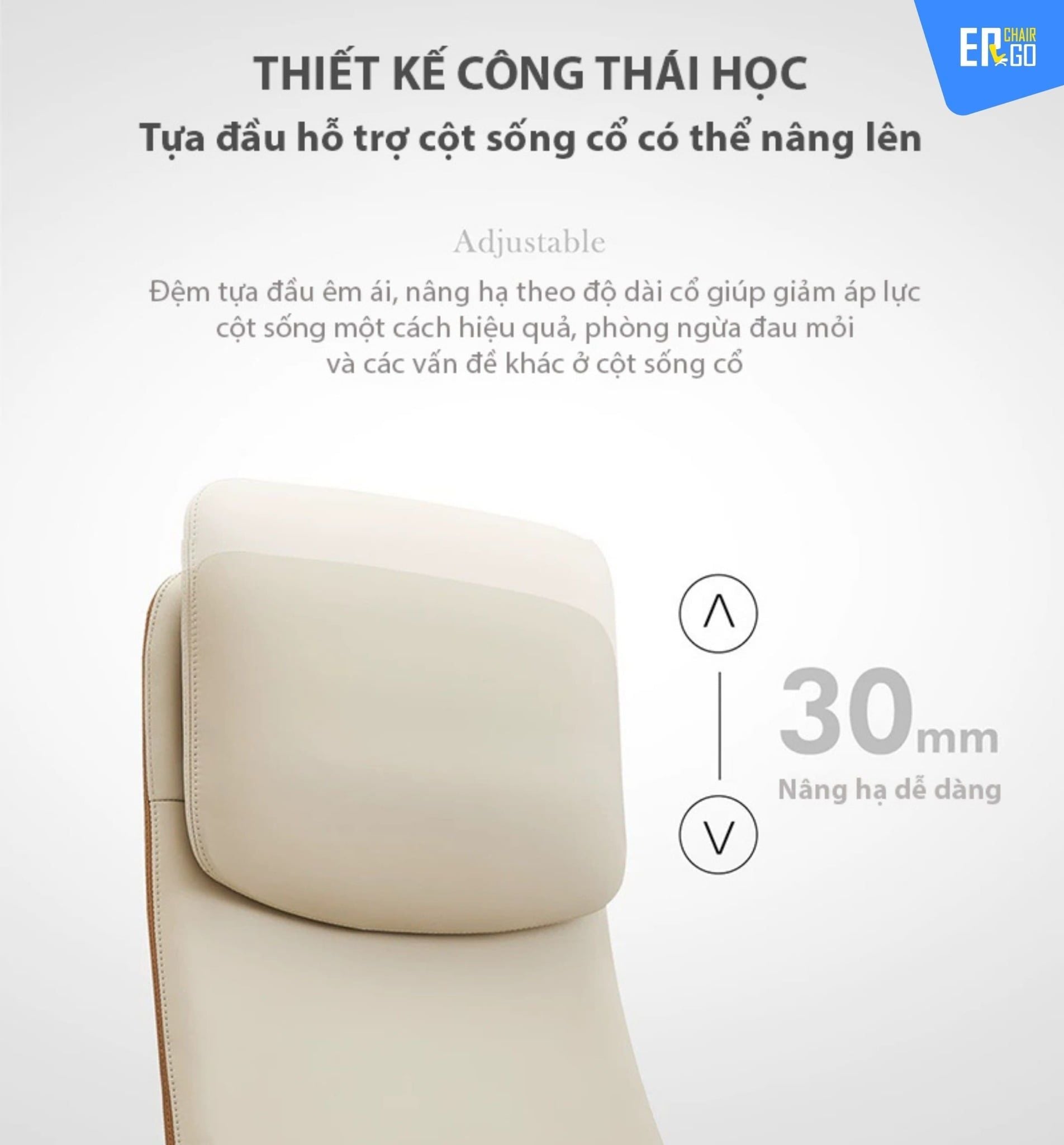  Ghế Công Thái Học Giám Đốc B-Chair BC-007F bọc da bò Nappa 