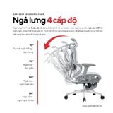  Ghế Công Thái Học Gami Hexa bản 4D và 6D (tùy chọn gắn gác chân) 