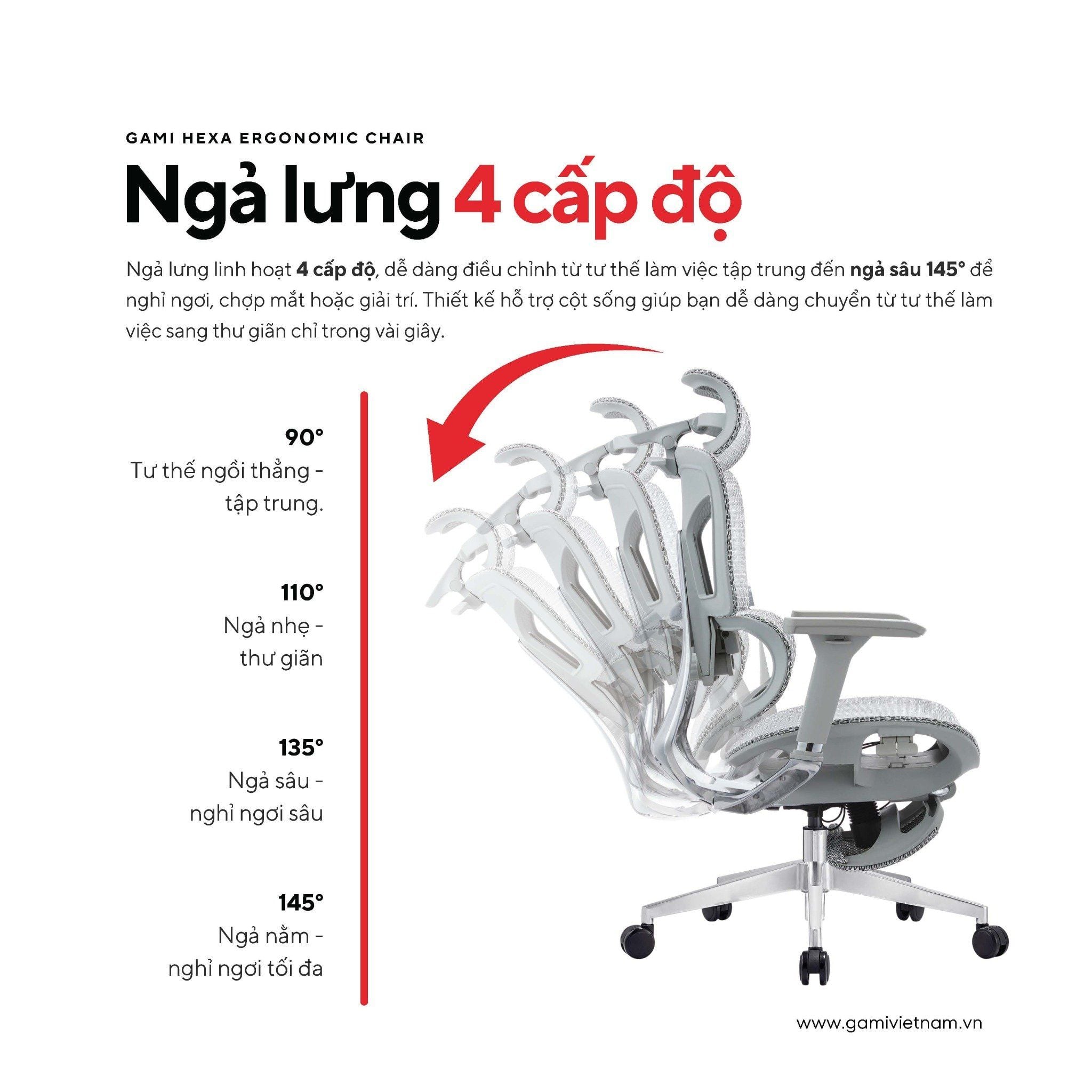  Ghế Công Thái Học Gami Hexa bản 4D và 6D (tùy chọn gắn gác chân) 