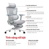  Ghế Công Thái Học Gami Hexa bản 4D và 6D (tùy chọn gắn gác chân) 