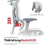  Ghế Công Thái Học Gami Hexa bản 4D và 6D (tùy chọn gắn gác chân) 