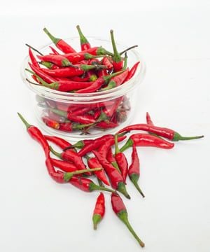 Ớt chỉ thiên (Ớt kim) VietGAP MT