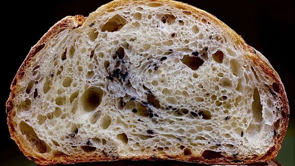 Bánh mỳ dài chay men tươi