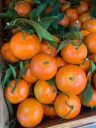 Cam Canh Bắc Giang HTS