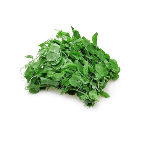 Ngọn Hà Lan SAPA