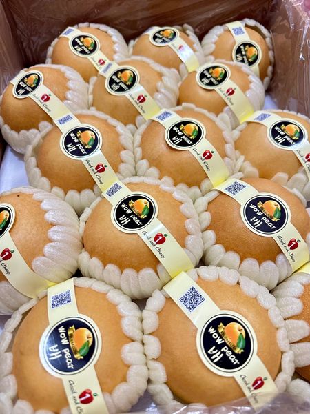 Lê Sữa Đại Phúc (1 KG)