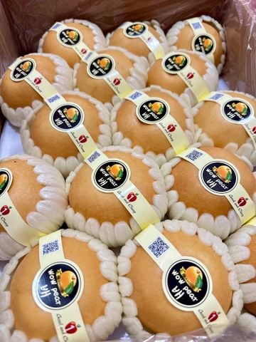 Lê Sữa Đại Phúc (1 KG)