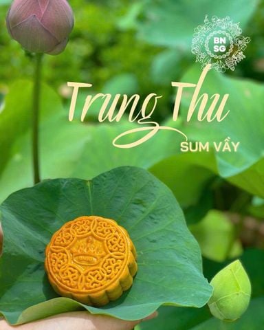 Bánh nướng Đậu xanh s.dừa trứng muối 150g