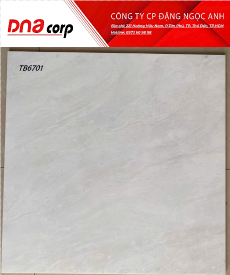  60*60 TB6701 Gạch lát nền đá bóng kính Viglacera (1.44m/4v/th) 