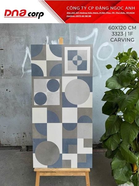  3323 1F Gạch Ấn Độ 60x120 