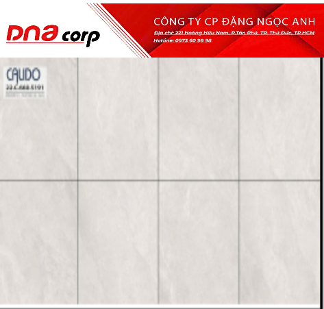  60x60 5182 Gạch Đá Mờ (4v/th/1,44m) 