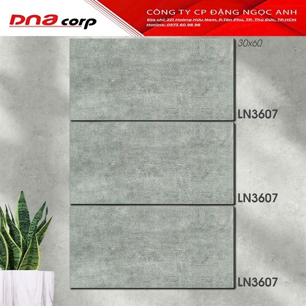  30*60 LN3607 Gạch ốp lát đá mờ (1.44m/8v/th) 