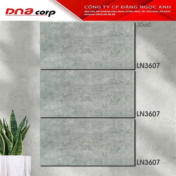  30*60 LN3607 Gạch ốp lát đá mờ (1.44m/8v/th) 