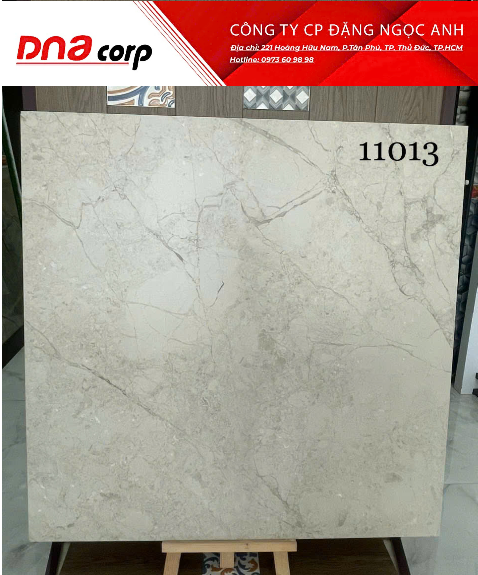  Gạch Ấn Độ 100*100 11013 gạch đá 