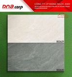  ĐÁ BS ĐẬM BỘ 30x60 BS3630 Mờ Viglacera 