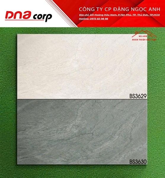  ĐÁ BS ĐẬM BỘ 30x60 BS3630 Mờ Viglacera 